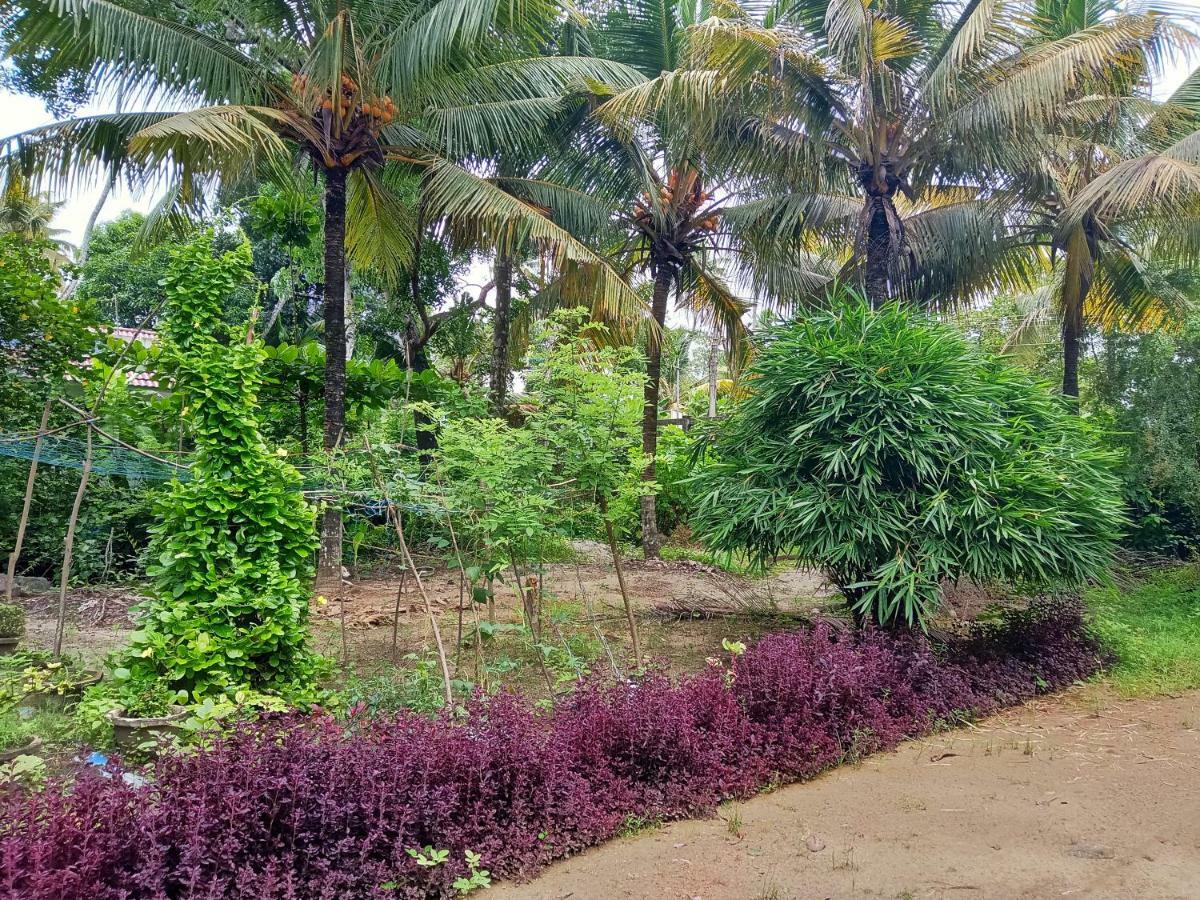 Marari Bethsaida Homestay Shertallai Экстерьер фото